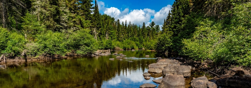 tourism muskoka